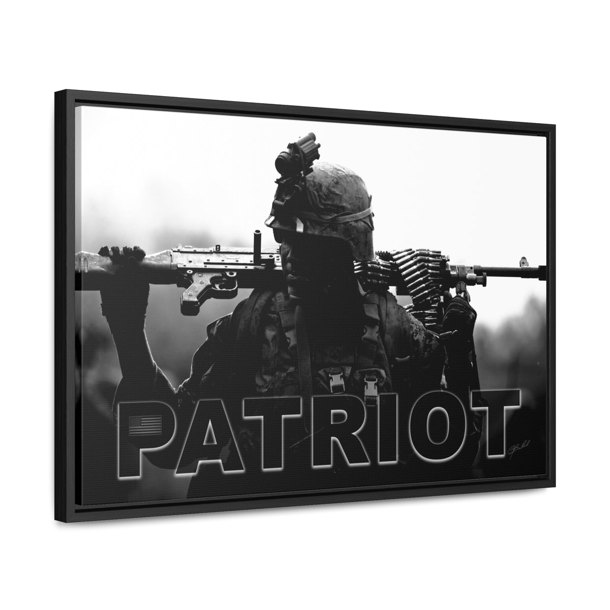 Patriot - Framed Gallery Wrapped Canvas