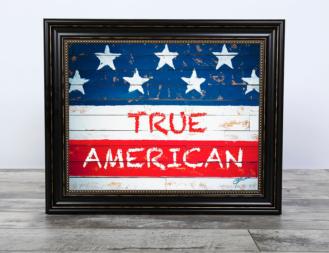 True American 2 - Framed &amp; Textured Art