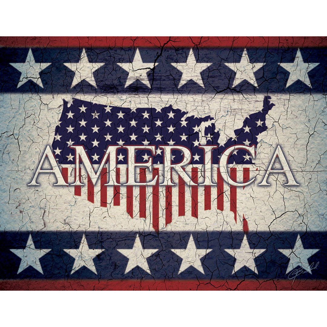 America - Wrapped Canvas